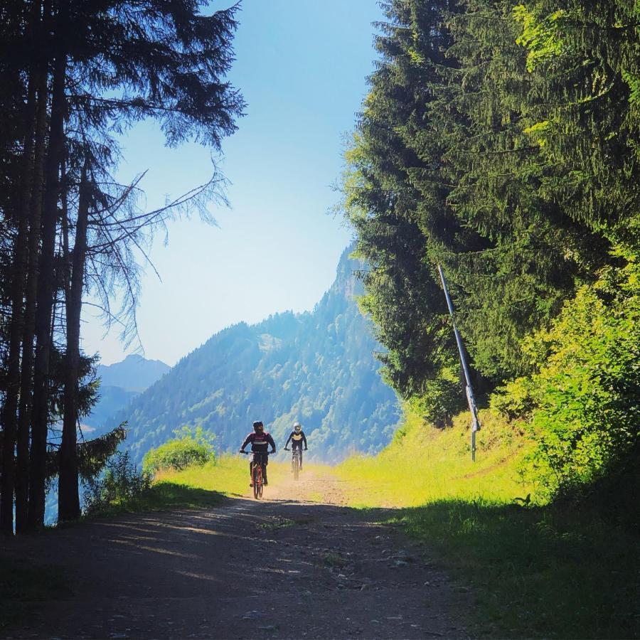 'Petite Ferme Les Bouts' Apartment, Sleeps 6, Nr Morzine La Cote d'Arbroz المظهر الخارجي الصورة