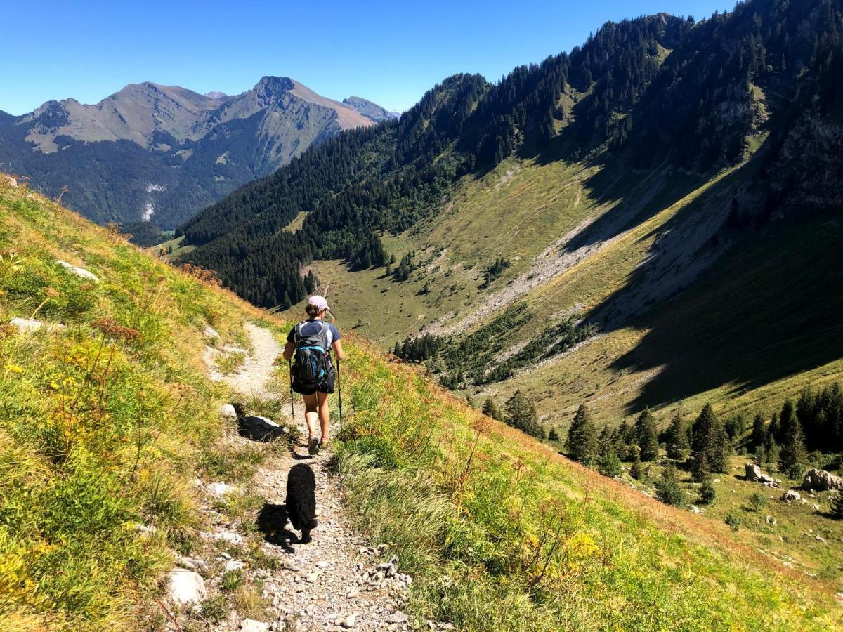 'Petite Ferme Les Bouts' Apartment, Sleeps 6, Nr Morzine La Cote d'Arbroz المظهر الخارجي الصورة