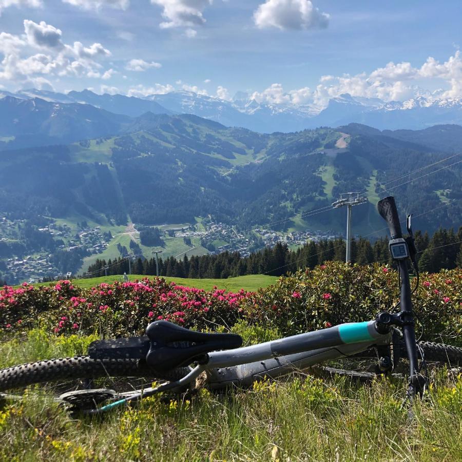 'Petite Ferme Les Bouts' Apartment, Sleeps 6, Nr Morzine La Cote d'Arbroz المظهر الخارجي الصورة
